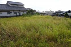 佐土原町和田山団地